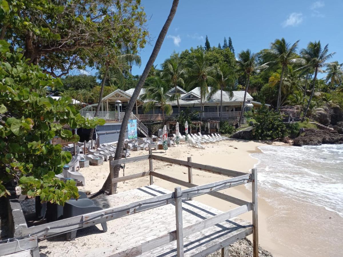 Grand Studio De 41 M², Vue Mer Et Jardin Tropical. Le Gosier  Kültér fotó