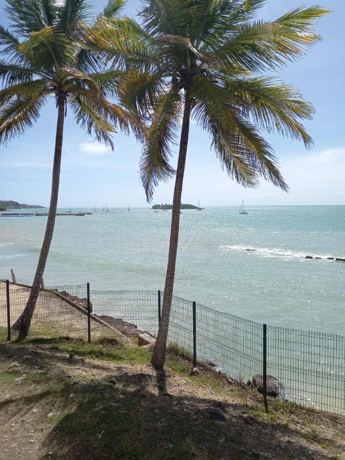 Grand Studio De 41 M², Vue Mer Et Jardin Tropical. Le Gosier  Kültér fotó