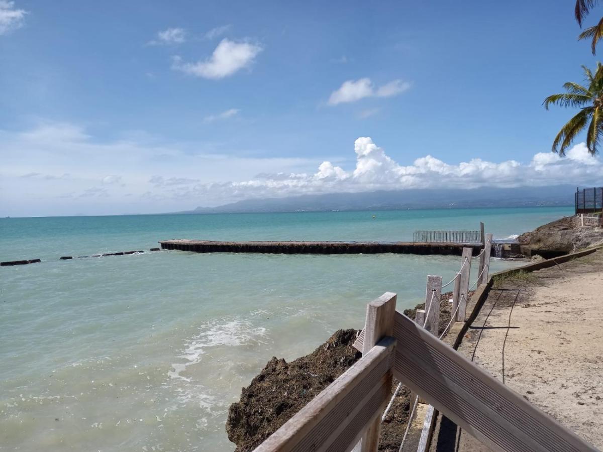 Grand Studio De 41 M², Vue Mer Et Jardin Tropical. Le Gosier  Kültér fotó