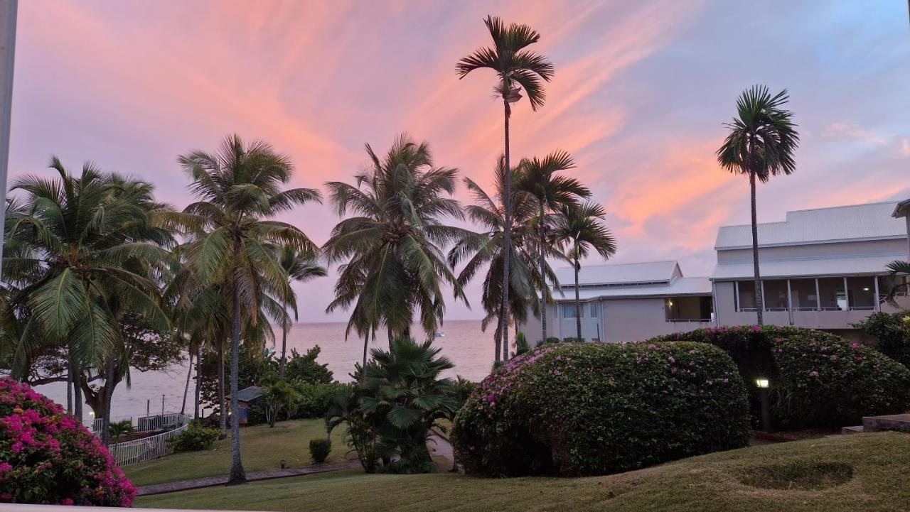 Grand Studio De 41 M², Vue Mer Et Jardin Tropical. Le Gosier  Kültér fotó